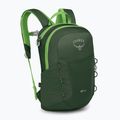 Рюкзак туристичний дитячий Osprey Jet 12 л green canopy / limeline green 2