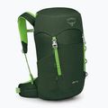 Рюкзак туристичний дитячий Osprey Jet 18 л green canopy/ limeline green 3