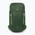 Рюкзак туристичний Osprey Jet 28 l green canopy