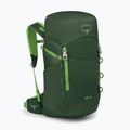 Рюкзак туристичний Osprey Jet 28 l green canopy 2