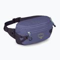 Сумка Osprey Transporter Waist Pack 3 л euphoria 2