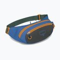 Сумка-бананка Osprey Daylite Waist Earth 2 л dark charcoal/blue flame 2