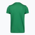 Футболка для бігу чоловіча Joma Record III green 2