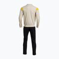Костюм спортивний чоловічий Joma Montreal beige/black 2