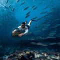 Двигун електричний SPINERA Underwater Powerfin/Scooter 6