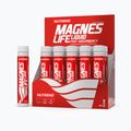Magneslife Nutrend  10X25мл магній VT-023-250-XX 2