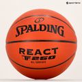 Баскетбольний м'яч Spalding React TF-250 76801Z Розмір 7 6