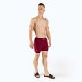 Шорти плавальні чоловічі JOBE Swimshort бордові 314022001 2