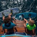 Кріплення для вейкборду JOBE Republik Wakeboard 4