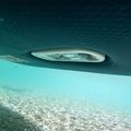 SUP-дошка електрична JOBE E-Duna Elite 11'6" Package синя 488823001 18
