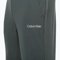 Штани тренувальні чоловічі Calvin Klein Knit LLZ urban chic 8