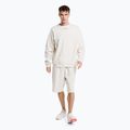Кофта чоловіча Calvin Klein Pullover 67U chalk 2