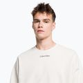 Кофта чоловіча Calvin Klein Pullover 67U chalk 4