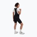Шорти велосипедні жіночі Rogelli Essential III Bib Short black 2