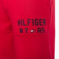 Шорти для тренувань чоловічі Tommy Hilfiger Graphic Sweatshort red 7