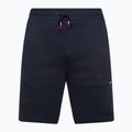 Шорти для тренувань чоловічі Tommy Hilfiger Graphic Sweatshort blue 5