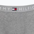 Труси чоловічі Tommy Hilfiger UM0UM03521 3 пари  desert sky/mid grey heather/red 6
