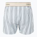 Труси Calvin Klein LV00NM2945 Boxer Trad majorca stripe breezy blue 2