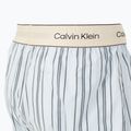 Труси Calvin Klein LV00NM2945 Boxer Trad majorca stripe breezy blue 3