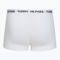 Боксерки чоловічі Tommy Hilfiger Trunk medium red/white/navy blue 5