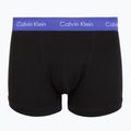 Труси чоловічі Calvin Klein 0000U2662G Trunk 3 пари black w green bloom wb/black w da 5