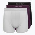 Боксерки чоловічі Calvin Klein LV00NB4394 Brief black/harbor mist/dark purple w/ dt