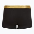 Боксерки чоловічі Tommy Hilfiger Trunk Metallic gold/burgundy/green 5