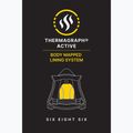 Куртка для сноуборду чоловіча 686 Gore-Tex GT Thermagraph black 9