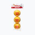 Тенісні м'ячі дитячі Wilson Starter Tour Foam Tball 3 шт. жовті WRZ258900 2