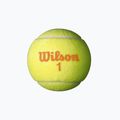 Тенісні м'ячі дитячі Wilson Starter Orange Tball 3 шт. жовті WRT137300 3