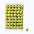 Тенісні м'ячі дитячі Wilson Starter Orange Tball 48 шт. жовті WRT13730B