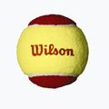 Тенісні м'ячі дитячі Wilson Starter Red Tball 36 шт. жовто-червоні WRT13700B 3