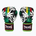 Боксерські рукавички Twins Special Fancy FBGVL3-54 Grass green/black
