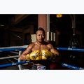 Боксерські рукавички Fairtex Universal "Tight-Fit" Design Falcon золоті 2