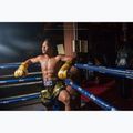 Боксерські рукавички Fairtex Universal "Tight-Fit" Design Falcon золоті 3