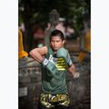 Боксерські рукавички для маринованих огірків Fairtex F-DAY Limited Edition 5