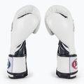 Боксерські рукавички Fairtex Heavy Hitter Mexican Style біло-сині 4
