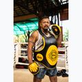 Рукавиці для тренування швидкості та точності Fairtex Speed & Accuracy Focus Mitts чорні/золотисті тренувальні лапи 6