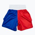 Шорти для боксу Fairtex Boxing Trunks BT2001 'Philippines' червоні/білі/сині 2