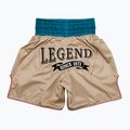 Боксерські шорти Fairtex Boxing Trunks BT2010 'Vintage' хакі 2