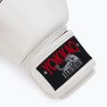 Рукавиці боксерські чоловічі YOKKAO Matrix white 6