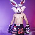 Шорти для тренувань чоловічі YOKKAO Angry Rabbit Muay Thai black 6