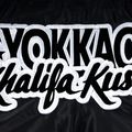 Шорти для тренувань чоловічі YOKKAO Khalifa Kush Muay Thai black 4