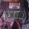 Шорти для тренувань чоловічі YOKKAO Lunar Muay Thai iridescent blue grey 13