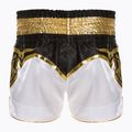 Шорти для тренувань Top King Kickboxing multicolor 2