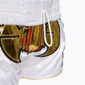 Шорти для тренувань Top King Kickboxing multicolor 5