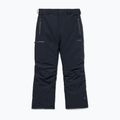 Штани для сноуборду чоловічі Volcom L Gore-Tex Pant Black 10