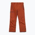 Штани для сноуборду чоловічі Volcom L Gore-Tex Pant Burnt Orange 10