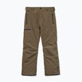 Штани для сноуборду чоловічі Volcom L Gore-Tex Pant Teak 9
