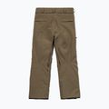 Штани для сноуборду чоловічі Volcom L Gore-Tex Pant Teak 10